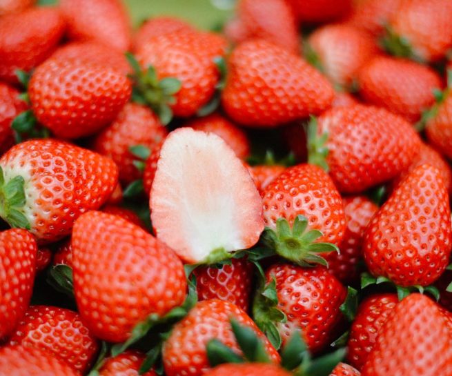 いちご摘み体験