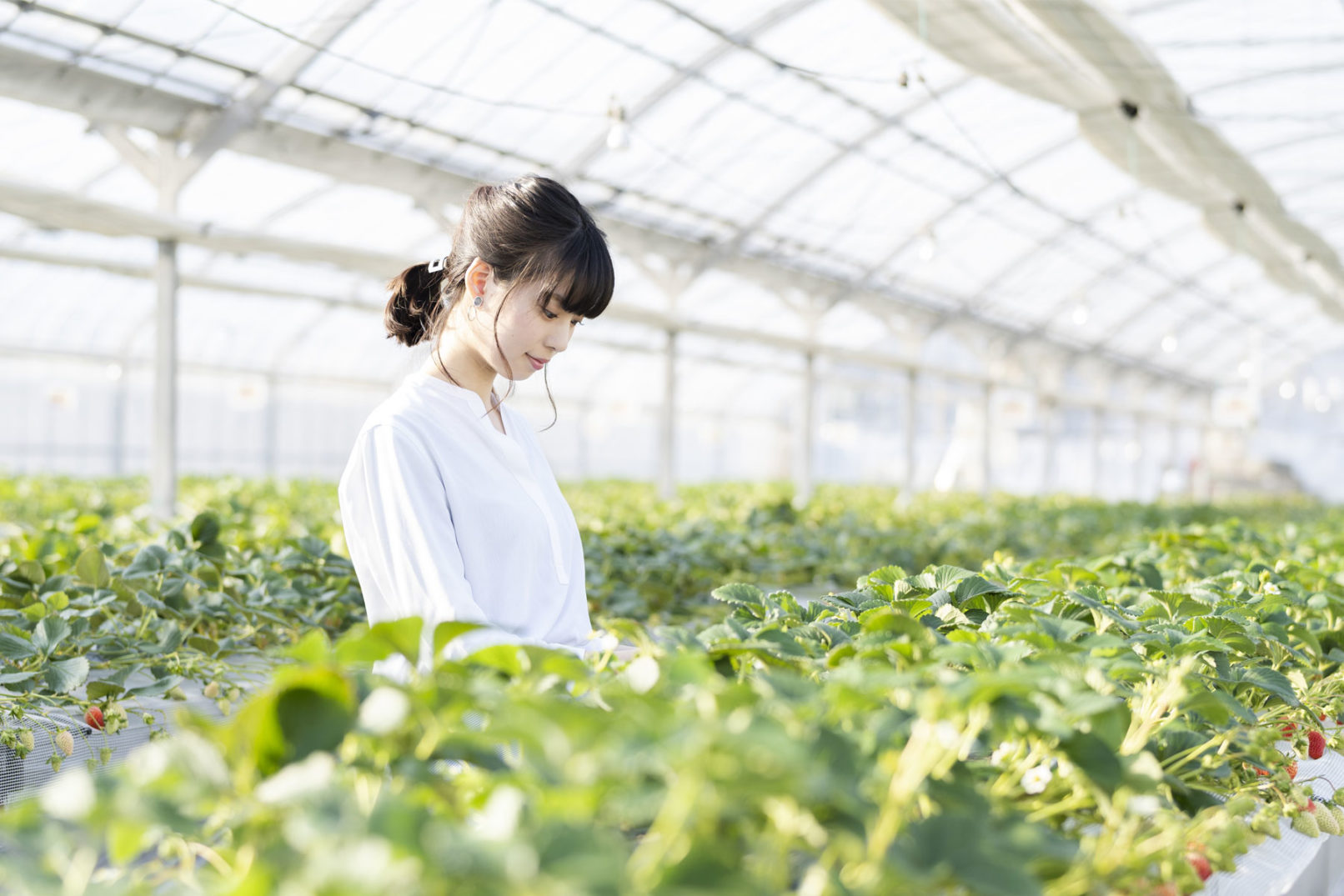 Yoshidamura Agritourism 吉田村ビレッジ